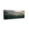 Stupell Industries Morning Sun over Misty Tree Forest Landscape Canvas Wall Art